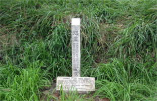 Queen Elizabeth National Park